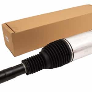 Macpherson Strut - LR087085G - BWI