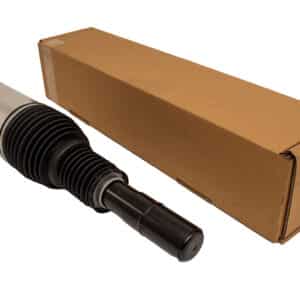 Macpherson Strut - LR087089G - BWI