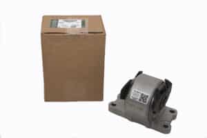 LR091364LR