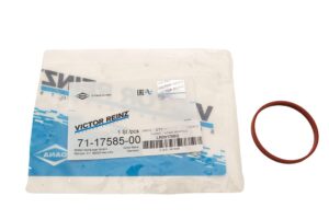 GASKET - INTAKE MANIFOLD - LR091766G - REINZ