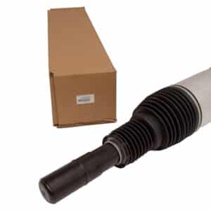 Macpherson Strut - LR103607G - BWI