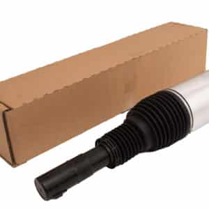 Macpherson Strut - LR123641G - BWI