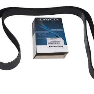 Belt - PQS000030G - DAYCO