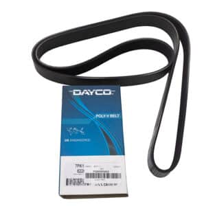 Belt - PQS000040G - DAYCO