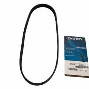 Belt-Polyvee - PQS101310LG - DAYCO