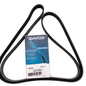 Belt Drive - PQS101500G - DAYCO