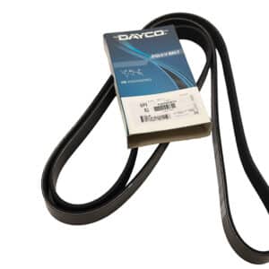V-Belt - PQS500081G - DAYCO