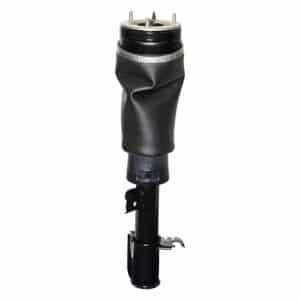 Shock Abs Assy Rh - RNB000740 - DUNLOP