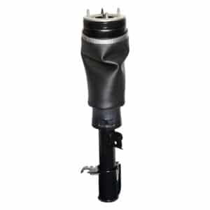 Shock Abs Assy Lh - RNB000750 - DUNLOP