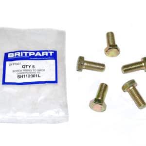 Screw Hsing To Gbox 110 - SH112301L - OEM