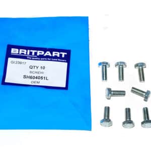 Screw - SH604051L - OEM