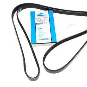 Belt-Polyvee-Al - STC4455G - DAYCO