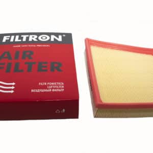 Filter - T4A6124-G - FILTRON