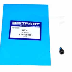 Screw - TYP100300 - OEM