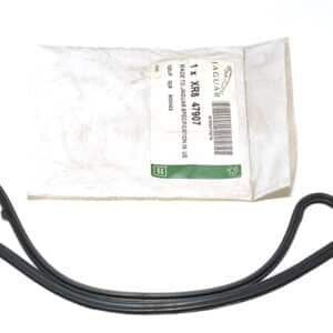Seal-Spark P - XR847907 - JAGUAR