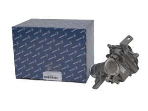 THROTTLE BODY AND EGR VALVE