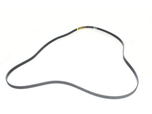 Belt-Drive - AJ84136 - JAGUAR