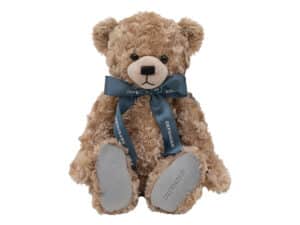 Defender Bear