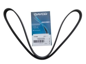 Alternator Belt - PQS101030G - DAYCO