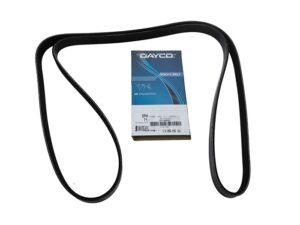 Belt-Polyvee-Al - STC4455G - DAYCO